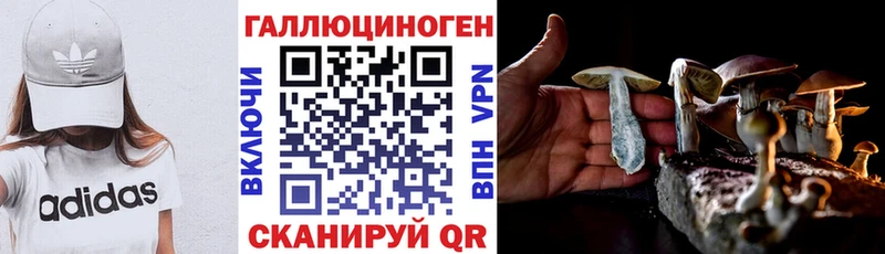 Галлюциногенные грибы мухоморы Купить где Аргун